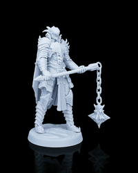 Knight Kestrel Armored Warrior Miniature